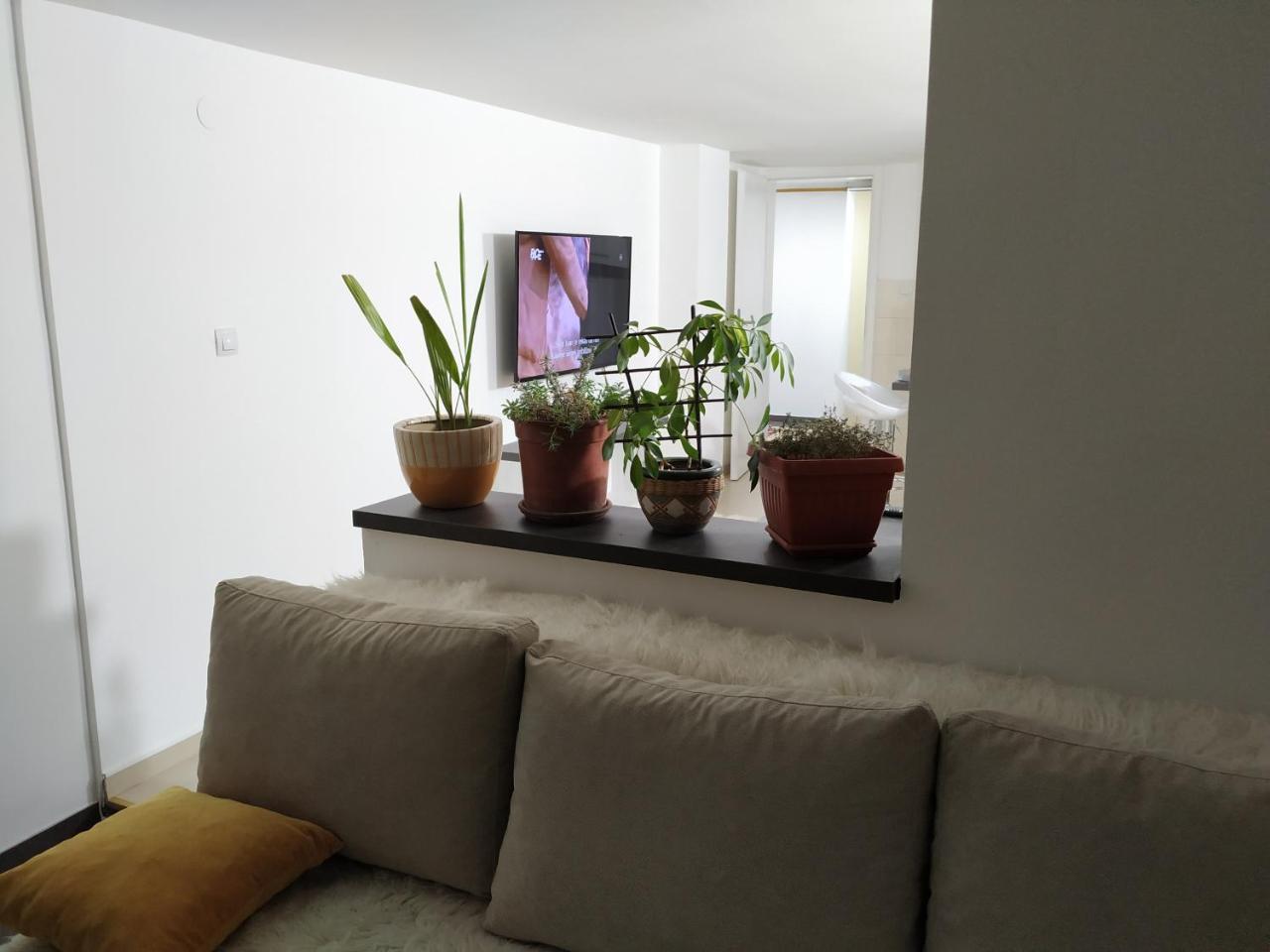 Apartment Merjam SJJ Exteriér fotografie